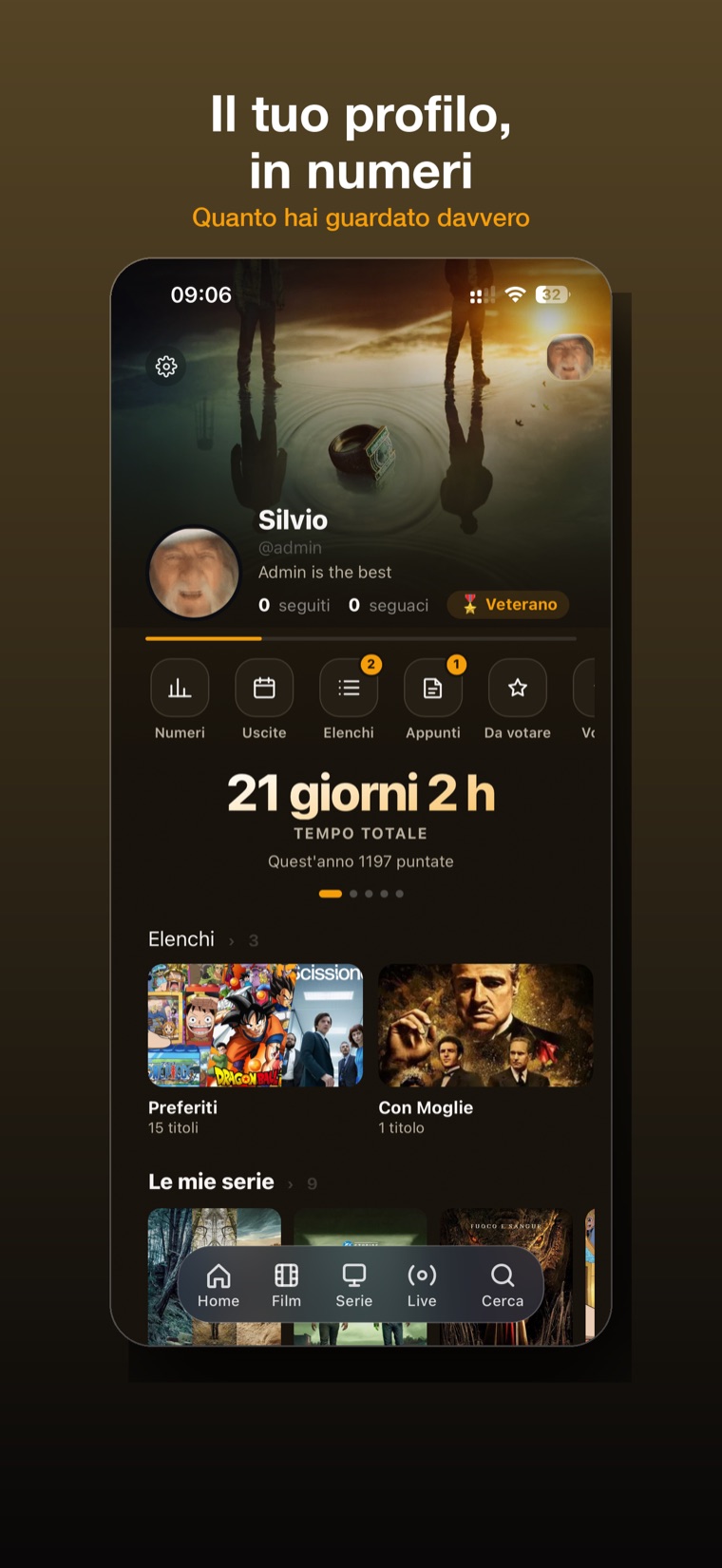 Il profilo con le statistiche